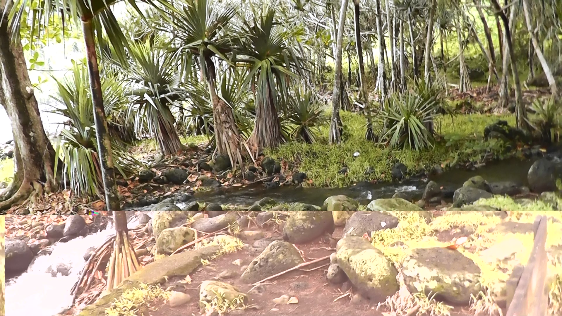 Anse des cascades 2.jpg