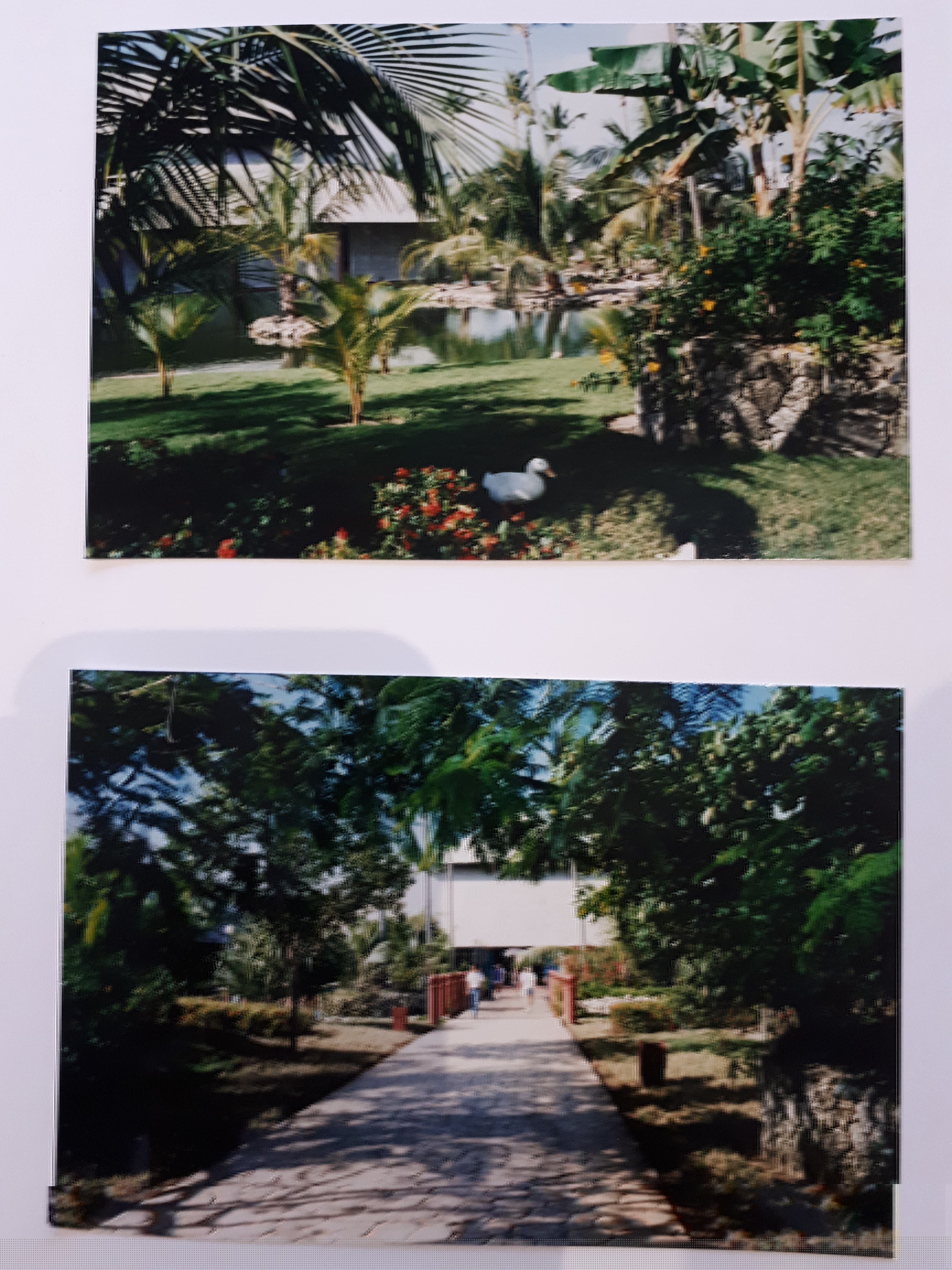 suite des photos